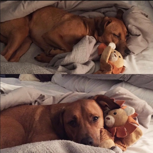 Meet your Posher, Alexis - Picture 5 of 7